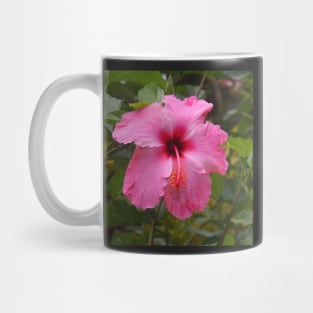 Pink Hibiscus Mug